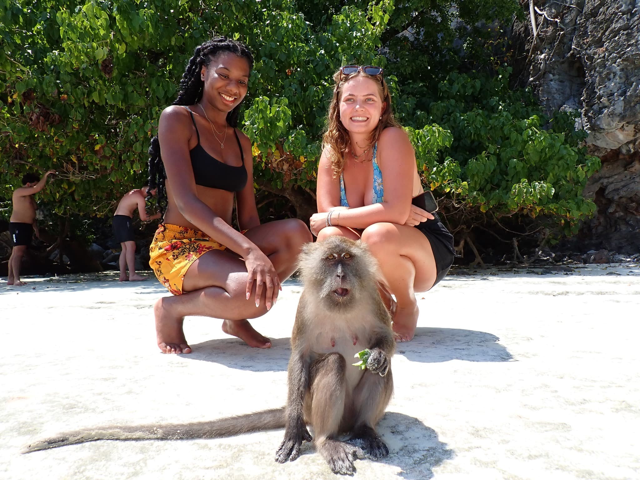 Monkeys at Monkey Beach