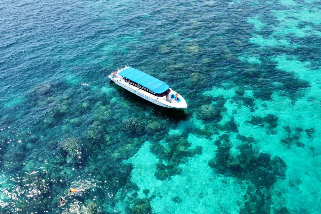 Chicken Island Speedboat Tour